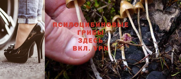 дурь Арсеньев
