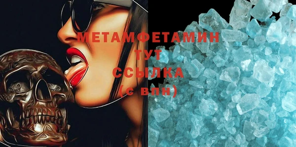 прущие грибы Семикаракорск