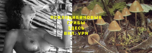 дурь Арсеньев
