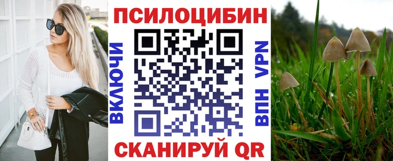 omg вход  купить наркотики сайты  Оса  Галлюциногенные грибы Psilocybe 